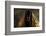 Golden Eyes-Heike Willers-Framed Photographic Print