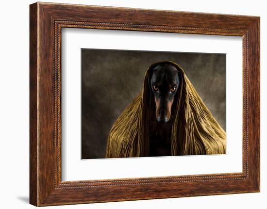 Golden Eyes-Heike Willers-Framed Photographic Print