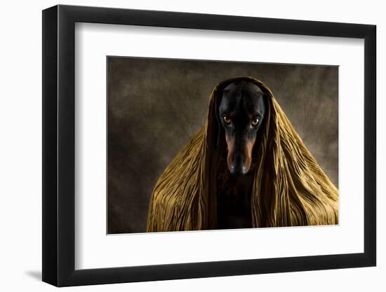 Golden Eyes-Heike Willers-Framed Photographic Print