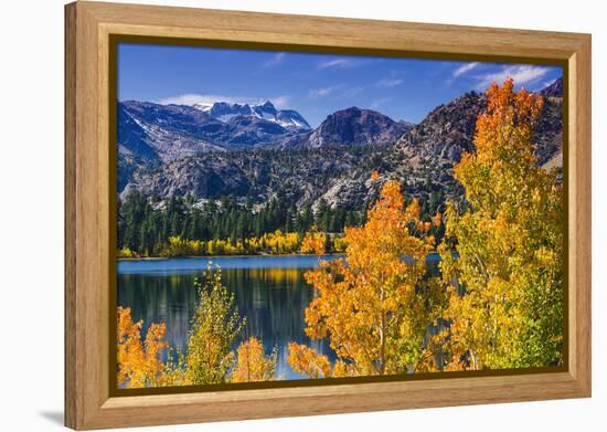 Golden Fall Aspen at June Lake, Inyo National Forest, Sierra Nevada Mountains, California, Usa-Russ Bishop-Framed Premier Image Canvas