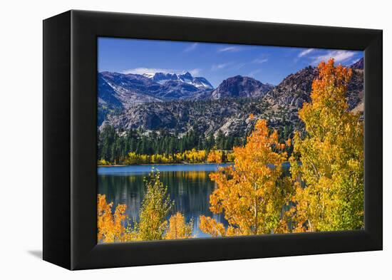 Golden Fall Aspen at June Lake, Inyo National Forest, Sierra Nevada Mountains, California, Usa-Russ Bishop-Framed Premier Image Canvas