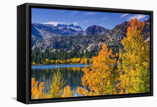 Golden Fall Aspen at June Lake, Inyo National Forest, Sierra Nevada Mountains, California, Usa-Russ Bishop-Framed Premier Image Canvas