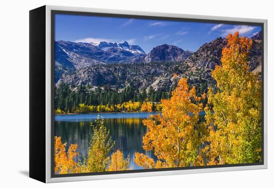 Golden Fall Aspen at June Lake, Inyo National Forest, Sierra Nevada Mountains, California, Usa-Russ Bishop-Framed Premier Image Canvas