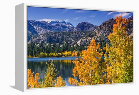 Golden Fall Aspen at June Lake, Inyo National Forest, Sierra Nevada Mountains, California, Usa-Russ Bishop-Framed Premier Image Canvas