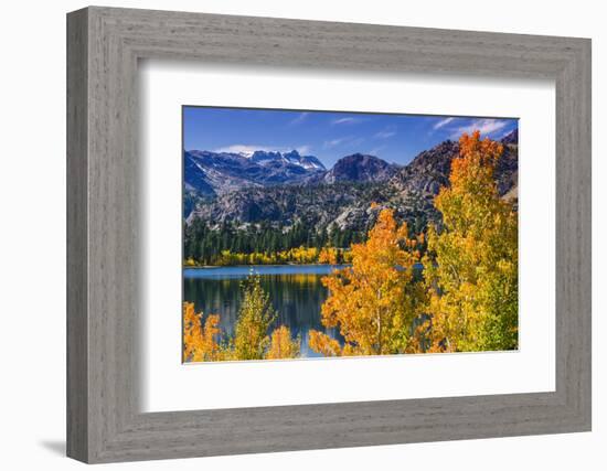 Golden Fall Aspen at June Lake, Inyo National Forest, Sierra Nevada Mountains, California, Usa-Russ Bishop-Framed Photographic Print