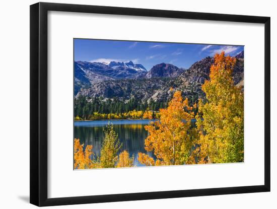 Golden Fall Aspen at June Lake, Inyo National Forest, Sierra Nevada Mountains, California, Usa-Russ Bishop-Framed Photographic Print