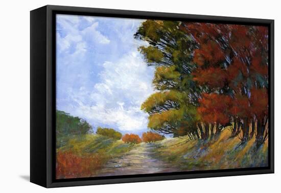 Golden Fall I-Michael Tienhaara-Framed Stretched Canvas