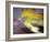 Golden Fall Reflections I-Nicole Katano-Framed Photo