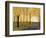 Golden Fall-Herb Dickinson-Framed Photographic Print