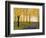 Golden Fall-Herb Dickinson-Framed Photographic Print