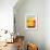 Golden Field-Tony Saladino-Framed Art Print displayed on a wall