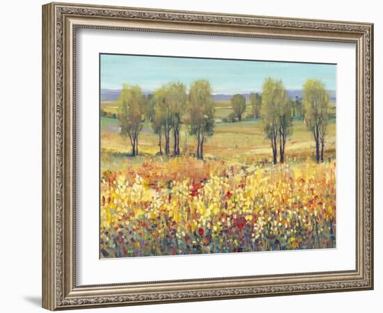 Golden Fields I-Tim O'toole-Framed Art Print