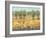 Golden Fields I-Tim O'toole-Framed Art Print