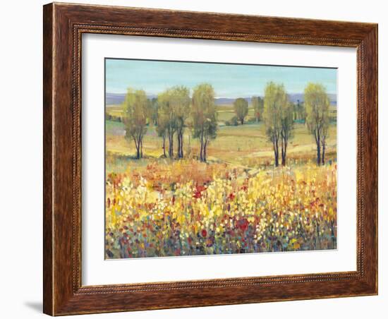 Golden Fields I-Tim O'toole-Framed Art Print