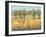 Golden Fields I-Tim O'toole-Framed Art Print