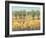 Golden Fields I-Tim O'toole-Framed Art Print