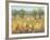 Golden Fields II-Tim O'toole-Framed Art Print