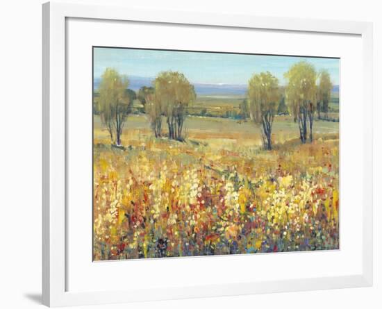 Golden Fields II-Tim O'toole-Framed Art Print