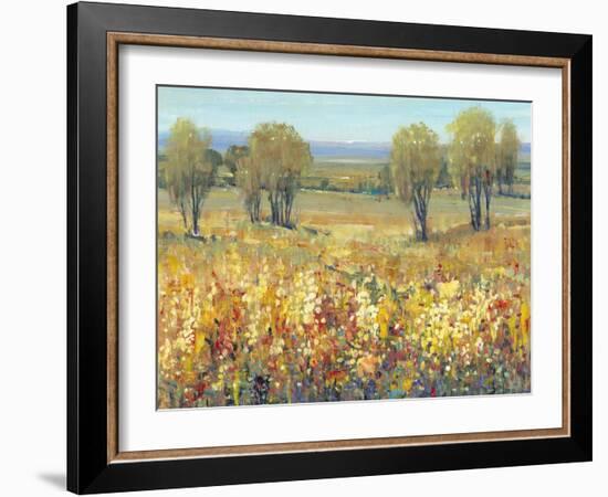 Golden Fields II-Tim O'toole-Framed Art Print