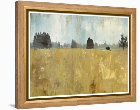 Golden Fields-Andrew Michaels-Framed Stretched Canvas