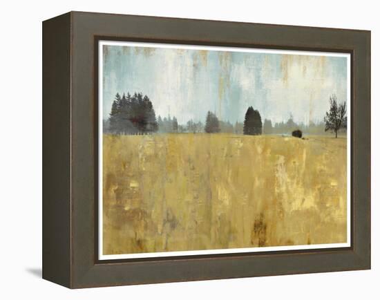 Golden Fields-Andrew Michaels-Framed Stretched Canvas