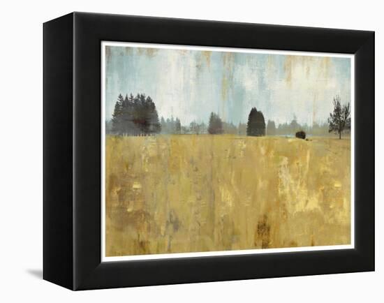 Golden Fields-Andrew Michaels-Framed Stretched Canvas
