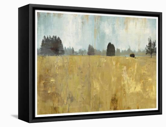 Golden Fields-Andrew Michaels-Framed Stretched Canvas