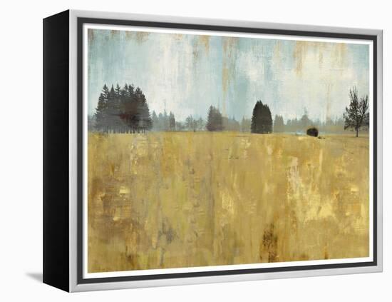 Golden Fields-Andrew Michaels-Framed Stretched Canvas