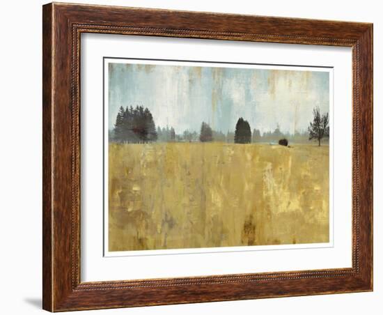 Golden Fields-Andrew Michaels-Framed Art Print