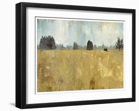 Golden Fields-Andrew Michaels-Framed Art Print