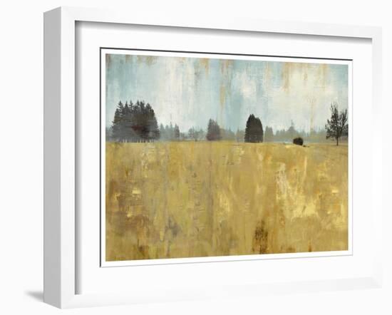 Golden Fields-Andrew Michaels-Framed Art Print