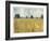 Golden Fields-Andrew Michaels-Framed Art Print