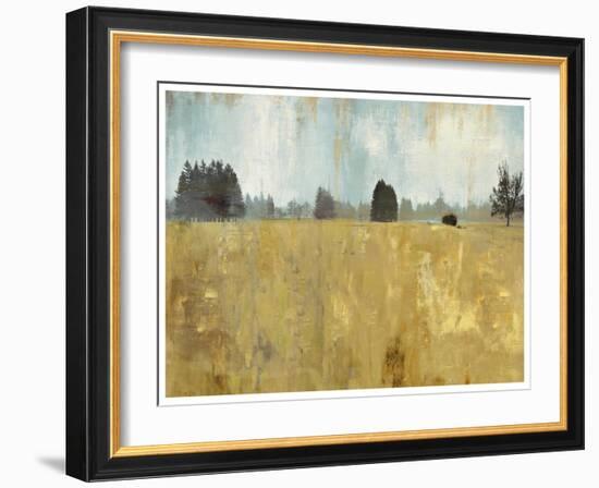 Golden Fields-Andrew Michaels-Framed Art Print