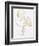 Golden Flamingo-Pam Varacek-Framed Premium Giclee Print