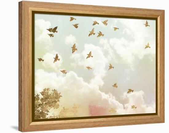 Golden Flight I-Jennifer Goldberger-Framed Stretched Canvas