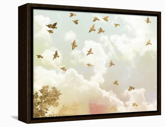 Golden Flight I-Jennifer Goldberger-Framed Stretched Canvas