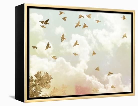 Golden Flight I-Jennifer Goldberger-Framed Stretched Canvas