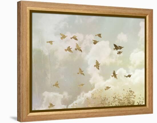 Golden Flight II-Jennifer Goldberger-Framed Stretched Canvas