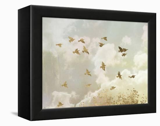 Golden Flight II-Jennifer Goldberger-Framed Stretched Canvas