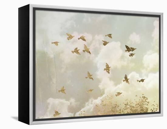 Golden Flight II-Jennifer Goldberger-Framed Stretched Canvas