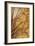 Golden Flourish I-Edward Aparicio-Framed Giclee Print