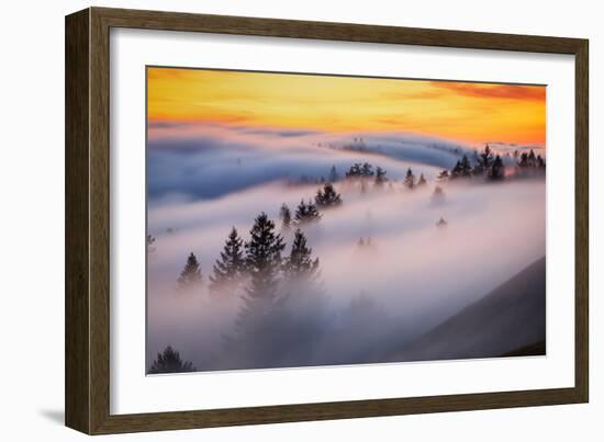 Golden Flow Fog Over Mount Tamalpais, Northern California-Vincent James-Framed Photographic Print