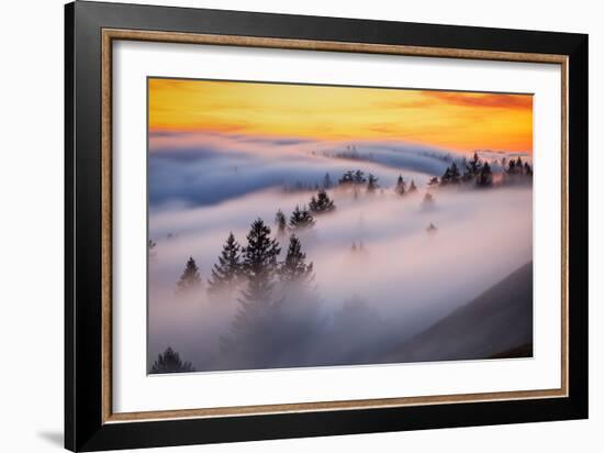 Golden Flow Fog Over Mount Tamalpais, Northern California-Vincent James-Framed Photographic Print