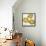 Golden Flower Burst II-Vanessa Austin-Framed Stretched Canvas displayed on a wall
