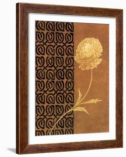 Golden Flower II-Edward Donovan-Framed Art Print