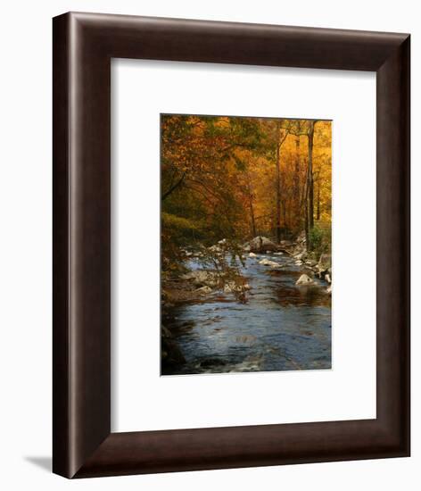 Golden foliage reflected in mountain creek, Smoky Mountain National Park, Tennessee, USA-Anna Miller-Framed Photographic Print