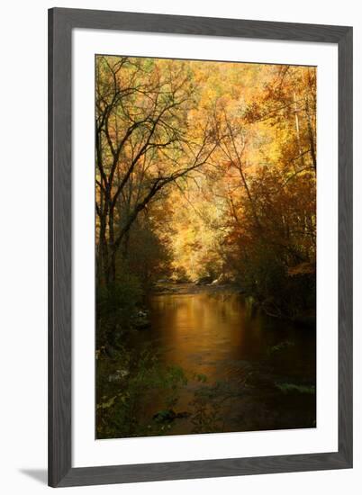 Golden foliage reflected in mountain creek, Smoky Mountain National Park, Tennessee, USA-Anna Miller-Framed Photographic Print