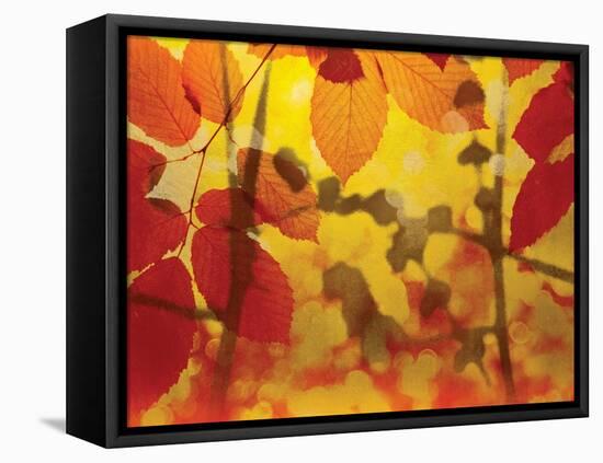 Golden Foliage-James McMasters-Framed Stretched Canvas