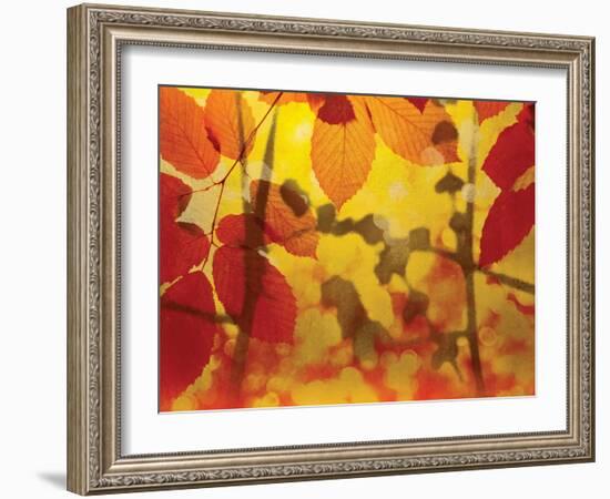 Golden Foliage-James McMasters-Framed Art Print