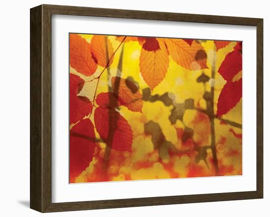 Golden Foliage-James McMasters-Framed Art Print